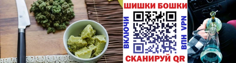 Canna-Cookies марихуана  Купить закладки  Елизаветинская 