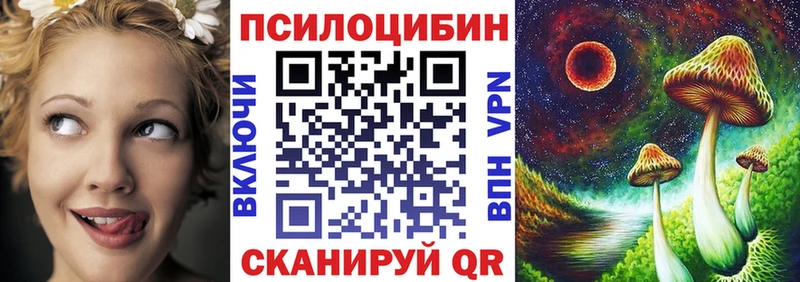 Купить где  Елизаветинская  Псилоцибиновые грибы GOLDEN TEACHER 