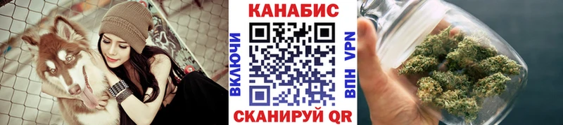 Купить  Елизаветинская  Шишки марихуана сатива 